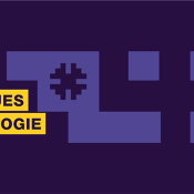 Deuxième édition des Journées scientifiques Ludopédagogie : « Le jeu peut-il être un levier des transitions ? »