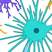 Remedbio : un module de psychobiologie illustré