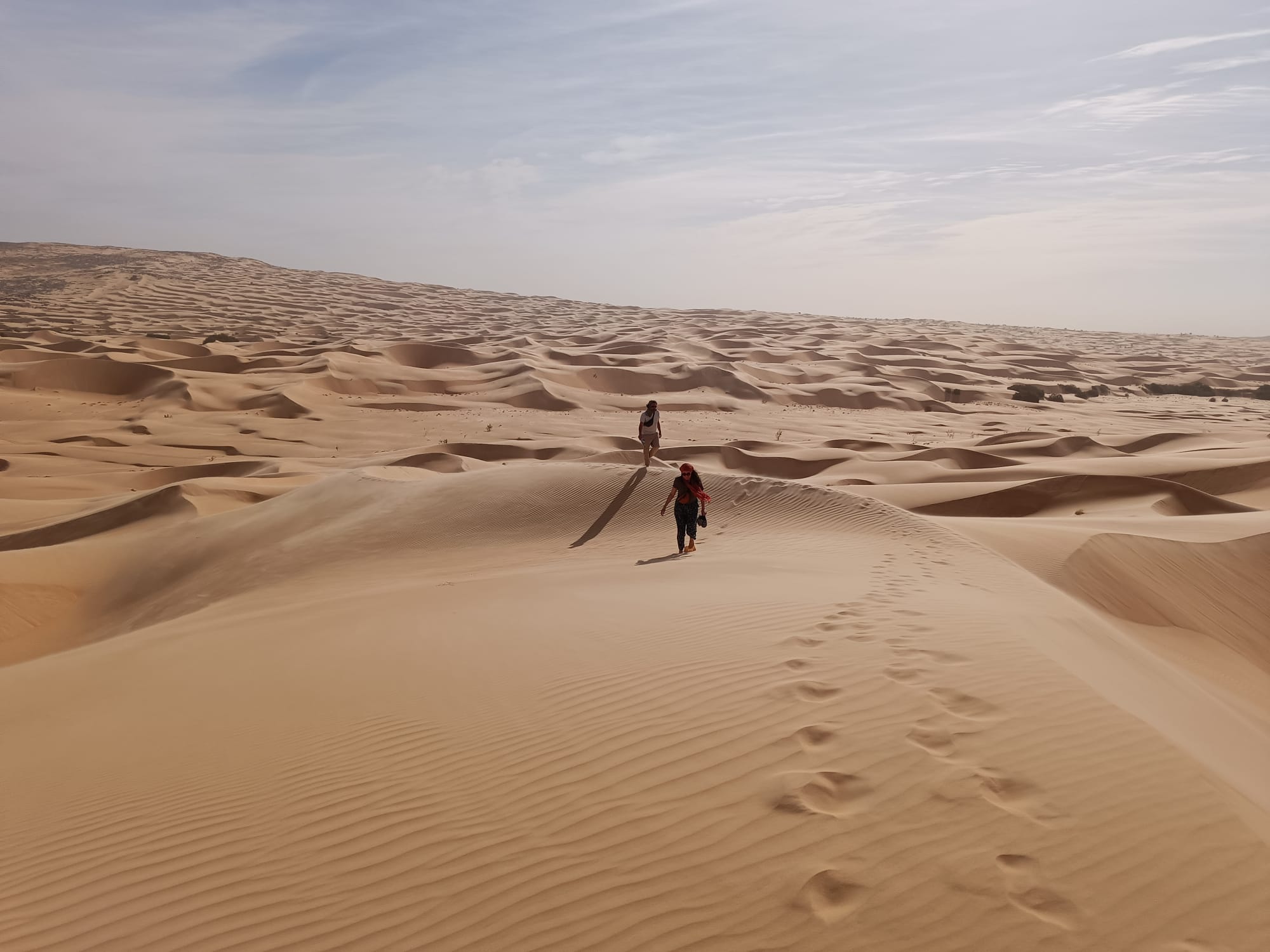 Le désert mauritanien